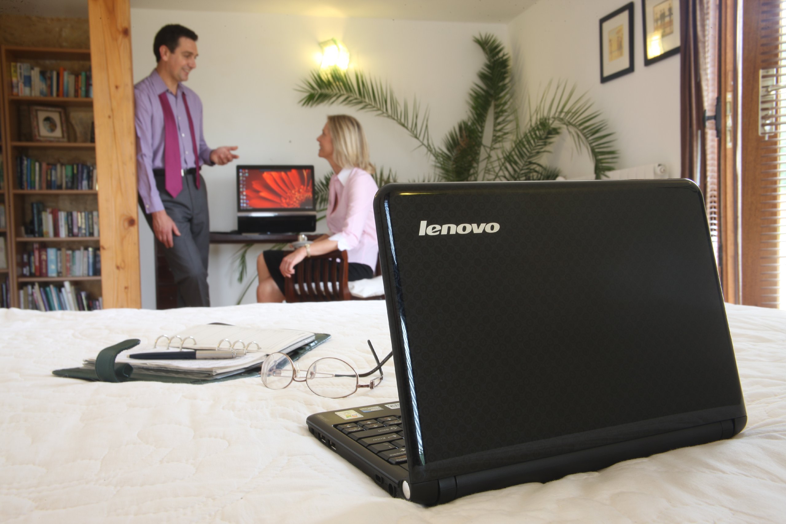 Lenovo IdeaPad S10-2 10.1 inch netbook (Intel Atom N280 1.66GHz